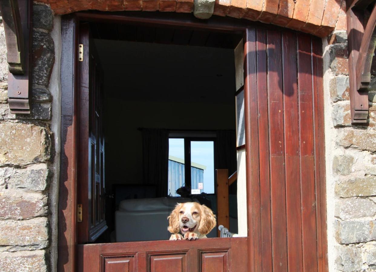 Houndapitt Cottages Bude Εξωτερικό φωτογραφία